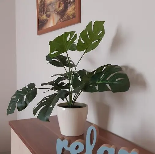 Relaxap